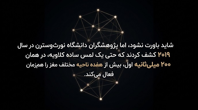 کالبدشناسی یک برخورد: وقتی انگشت با عاج مصنوعی ملاقات می‌کند